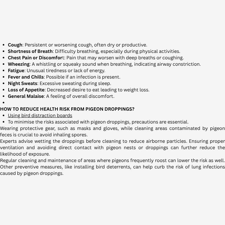 BIRDS REFLECTOR BOARD