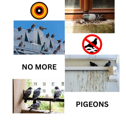 BIRDS REFLECTOR BOARD