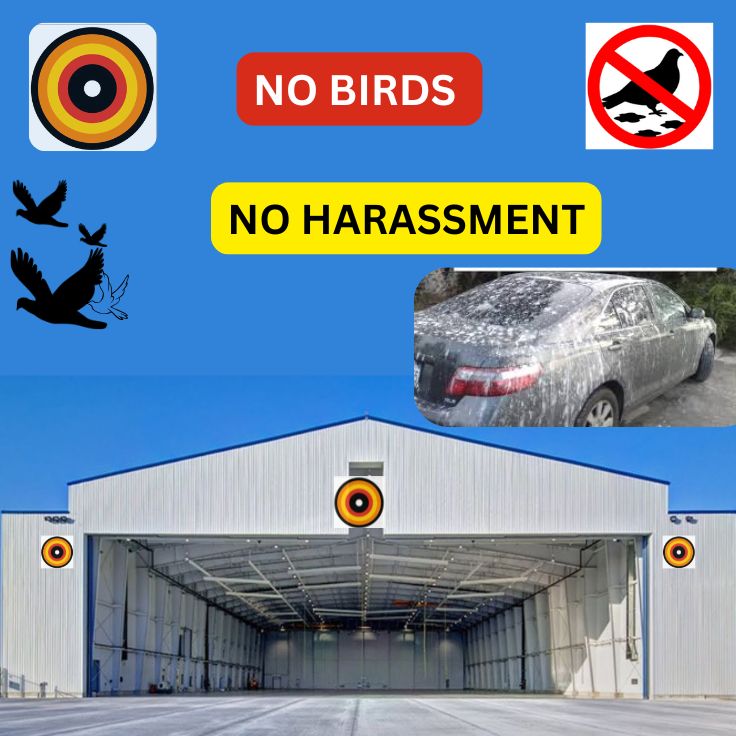 BIRDS REFLECTOR BOARD