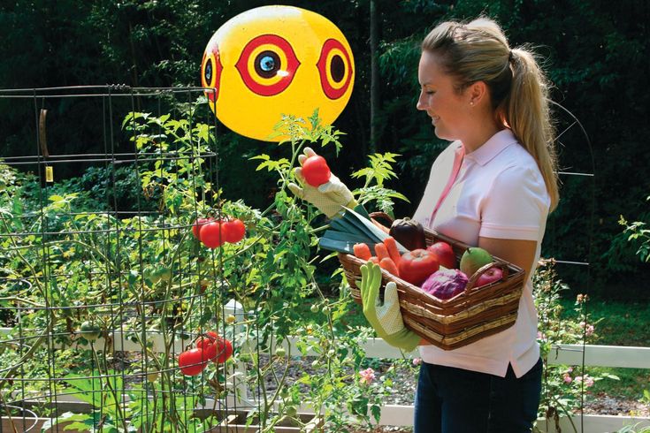 SCARE-EYE® BALLOONS